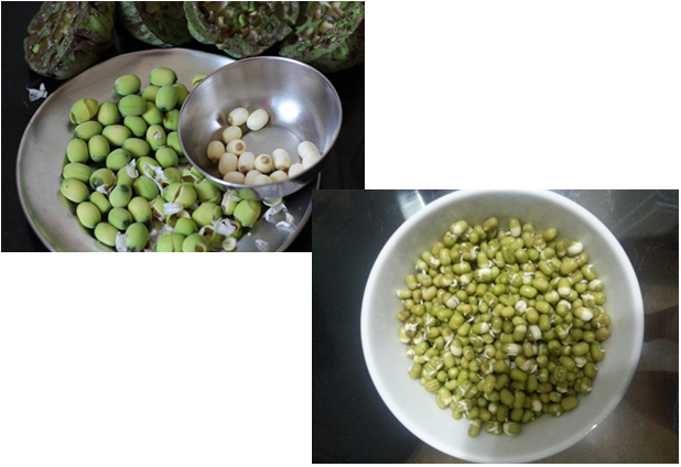 Cách làm sữa đậu xanh hạt sen thơm ngon bổ dưỡng