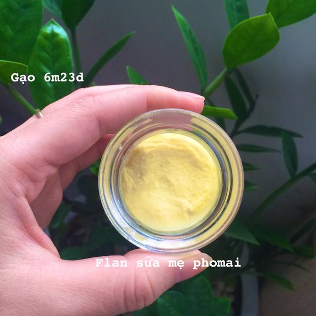 Bánh flan phô mai kết hợp sữa mẹ cho bé